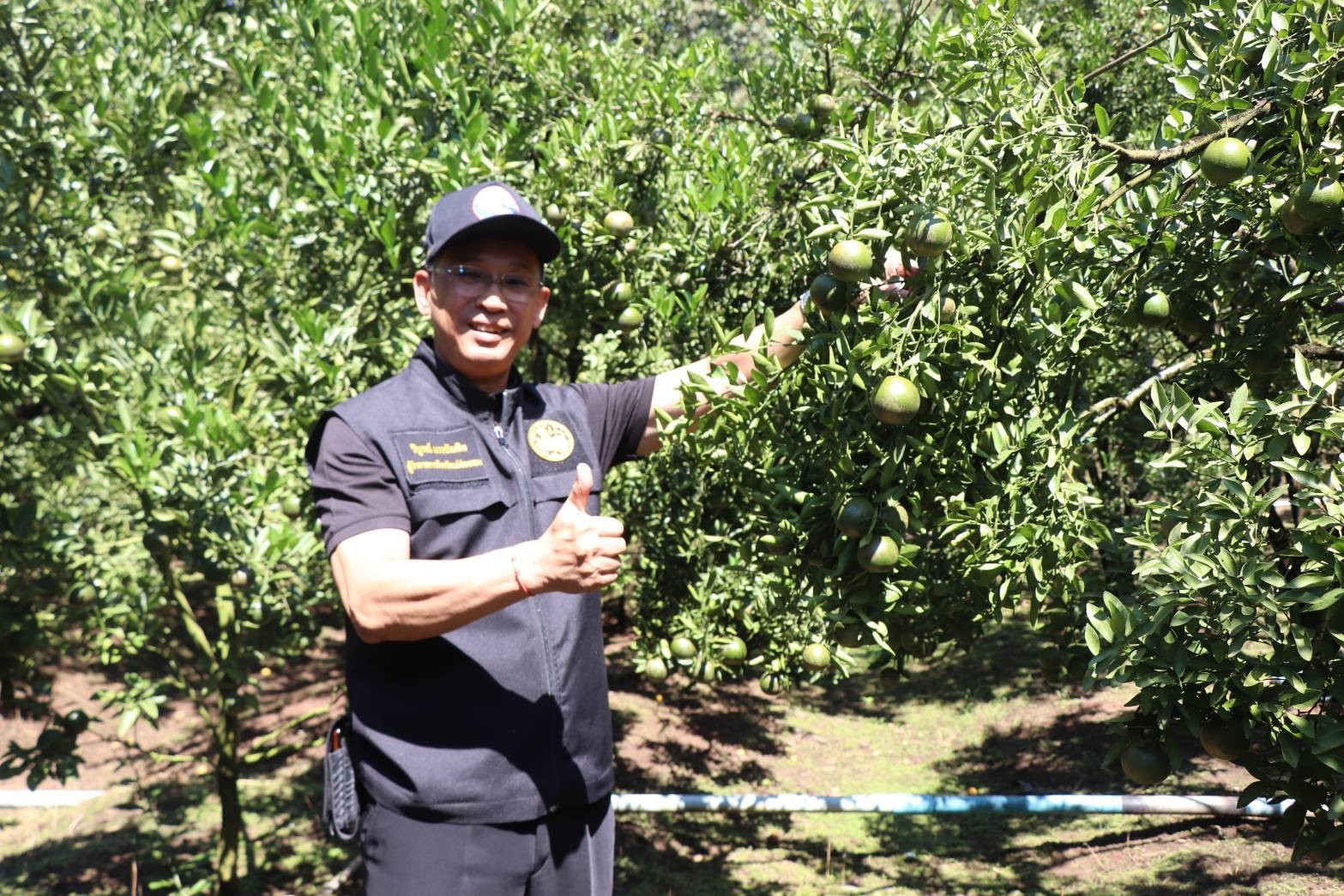 ผู้ว่าราชการจังหวัดแม่ฮ่องสอน ลงพื้นที่ตรวจเยี่ยมและติดตามผลการดำเนินงานของเกษตรกรผู้ปลูกส้มในพื้นที่อำเภอปางมะผ้า พร้อมทั้งหารือแนวทางส่งเสริมการตลาดและเพิ่มช่องทางจำหน่าย